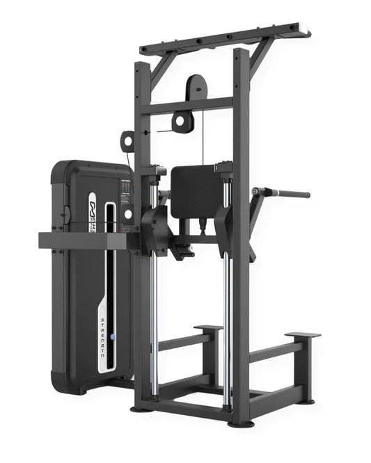 CAPITAL STRENGTH AI-07 DIP / CHIN ASSIST