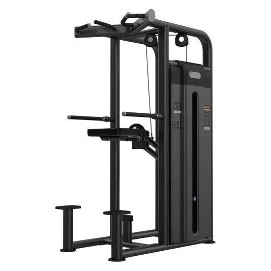 CAPITAL STRENGTH SI-07 DIP/CHIN ASSIST